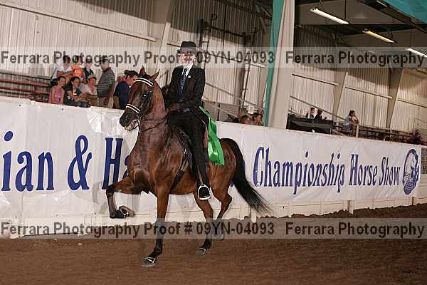 Proof 09yn-04093