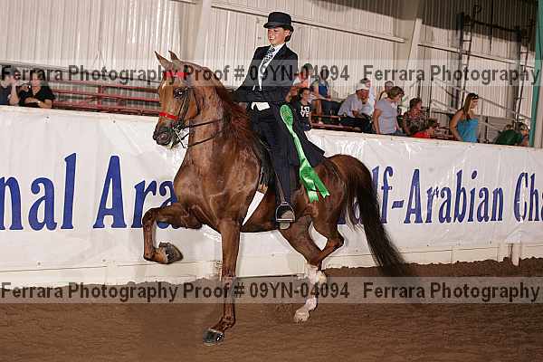 Proof 09yn-04094