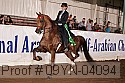 09yn-04094 proof