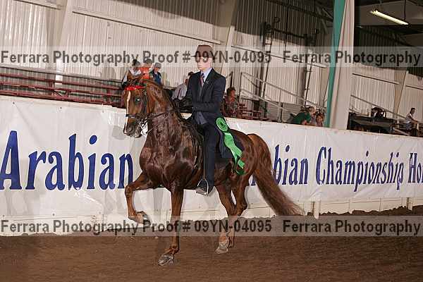 Proof 09yn-04095
