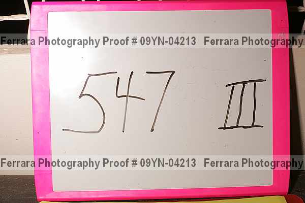 Proof 09yn-04213