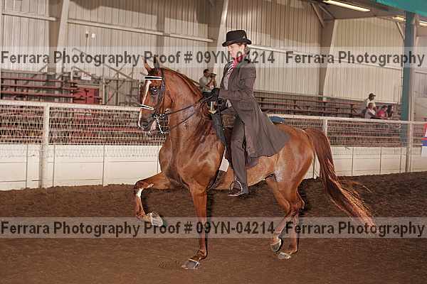 Proof 09yn-04214