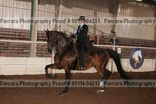 Proof 09yn-04215
