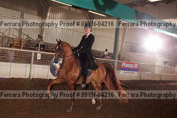 Proof 09yn-04216