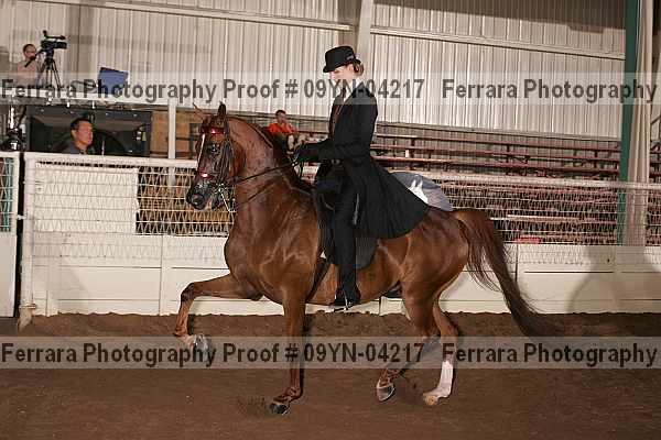 Proof 09yn-04217