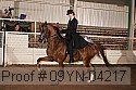 09yn-04217 proof