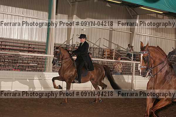 Proof 09yn-04218