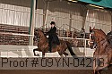 09yn-04218 proof