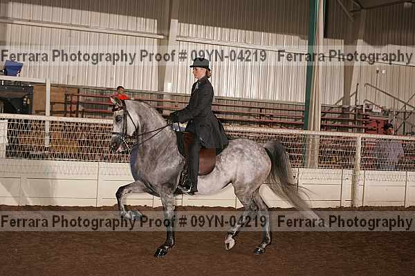 Proof 09yn-04219
