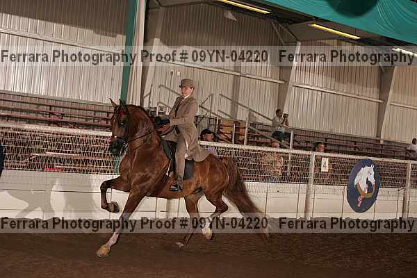 Proof 09yn-04220