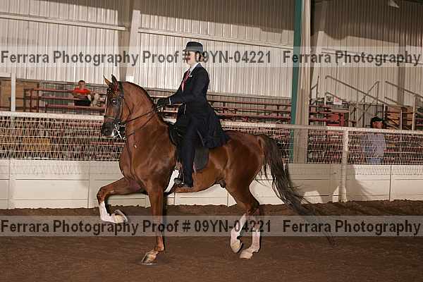 Proof 09yn-04221