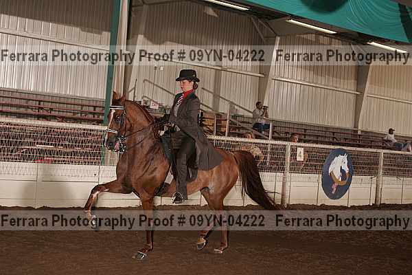 Proof 09yn-04222