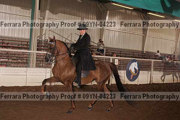 Proof 09yn-04223
