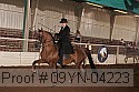 09yn-04223 proof