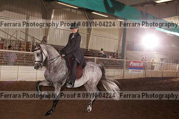 Proof 09yn-04224
