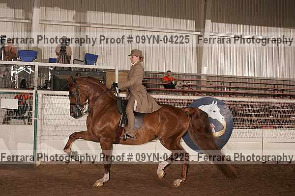 Proof 09yn-04225
