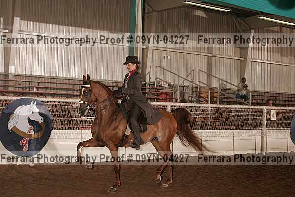 Proof 09yn-04227
