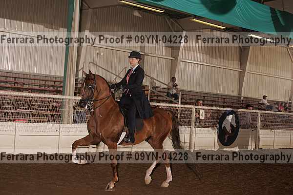Proof 09yn-04228