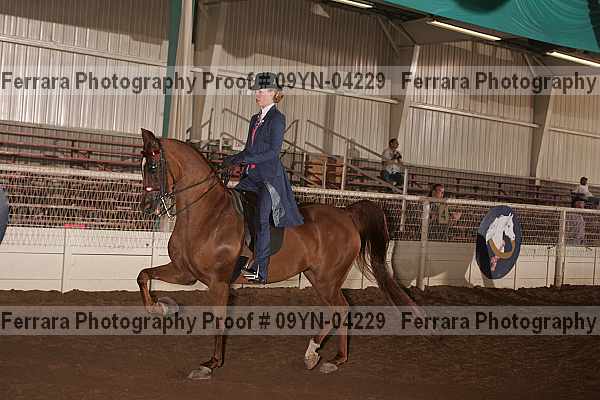 Proof 09yn-04229