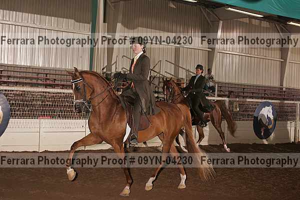 Proof 09yn-04230