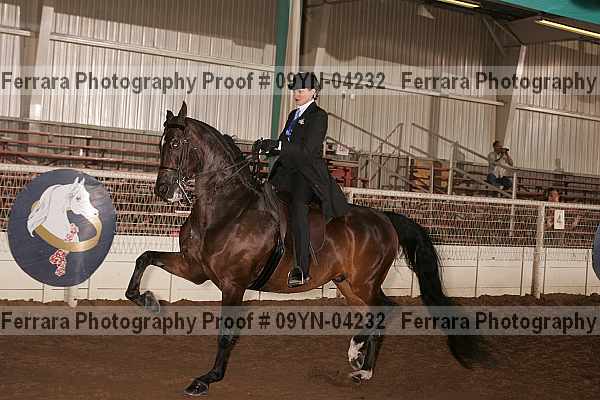 Proof 09yn-04232