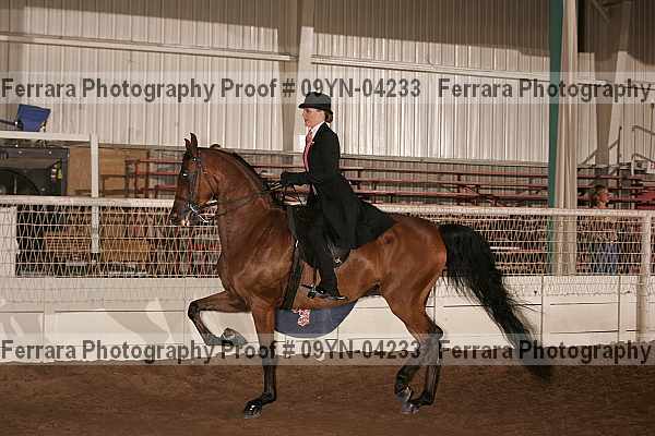 Proof 09yn-04233