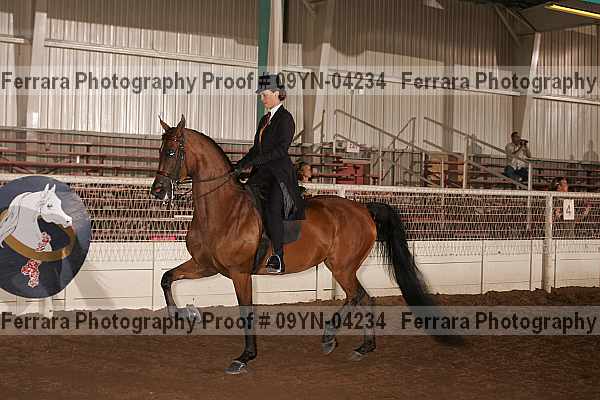 Proof 09yn-04234