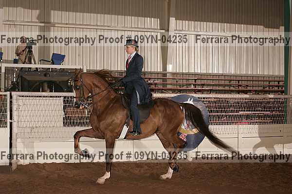 Proof 09yn-04235