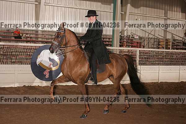 Proof 09yn-04236