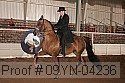 09yn-04236 proof