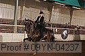 09yn-04237 proof