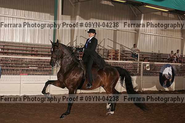 Proof 09yn-04238