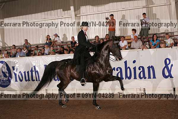 Proof 09yn-04239