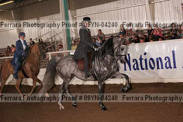Proof 09yn-04240