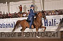 09yn-04241 proof