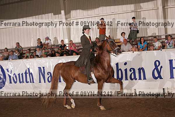 Proof 09yn-04242