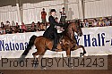 09yn-04243 proof