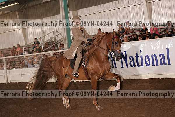 Proof 09yn-04244