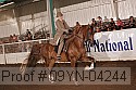 09yn-04244 proof