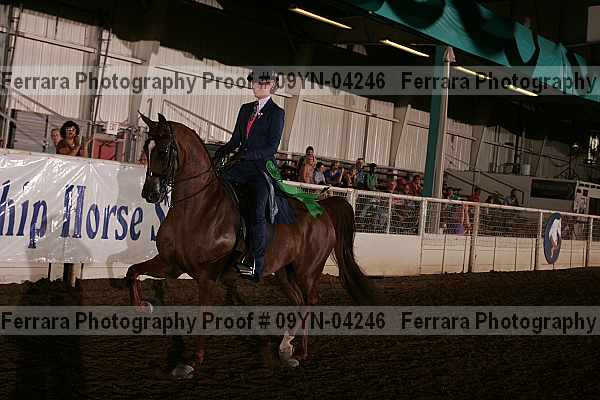 Proof 09yn-04246