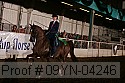 09yn-04246 proof
