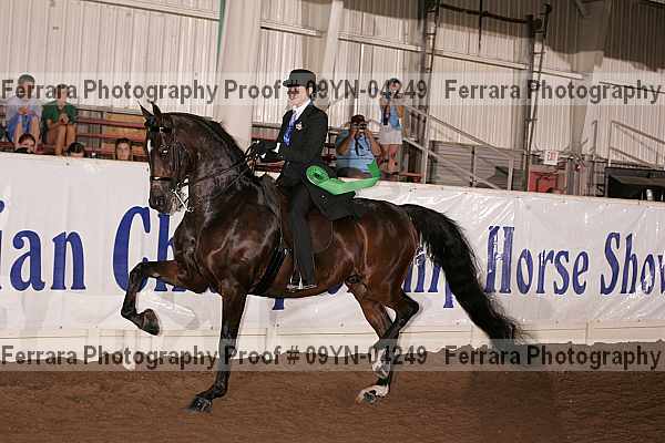 Proof 09yn-04249