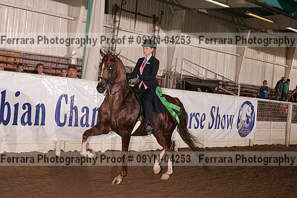 Proof 09yn-04253