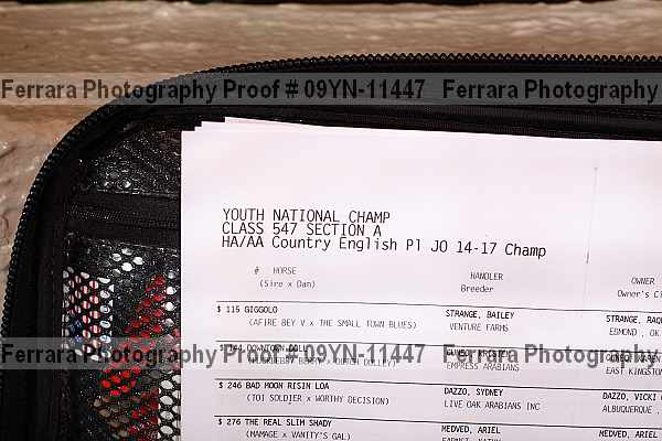 Proof 09yn-11447