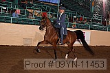 09yn-11453 proof