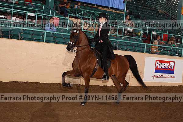 Proof 09yn-11456