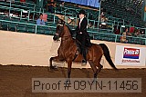 09yn-11456 proof