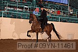 09yn-11461 proof