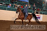 09yn-11462 proof