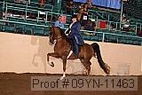 09yn-11463 proof